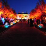 HALLOWEEN EVENT | Private Estate