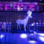 FATHER & SON 25TH & 60TH BIRTHDAYS | The Ian Schrager Hotel, NYC