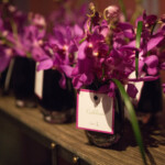 HOLIDAY CELEBRATION | Central Park West, NYC