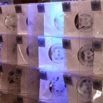 WINTER INTO SPRING THEMED BAR MITZVAH | Old Oaks Country Club in Westchester, NY