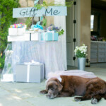 NICK & ELISE'S WONDERLAND THEMED ENGAGEMENT | Private Estate