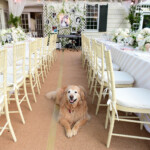 ISABEL & PETER'S 60TH WEDDING ANNIVERSARY | Private Estate