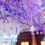 MILESTONE EVENT | Snow & Sparkle theme | Capitale NYC